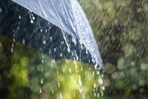 Is It Safe To Drink Rainwater? Here's The Real Scoop