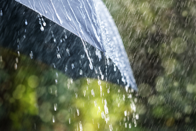 Is It Safe To Drink Rainwater? Here's The Real Scoop